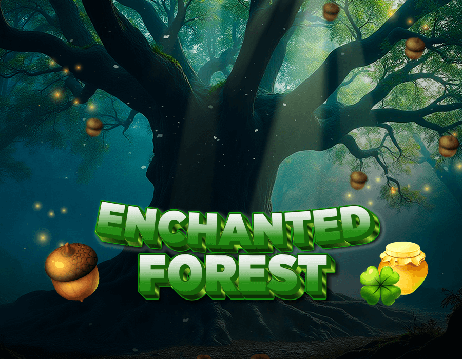 Enchanted Forest